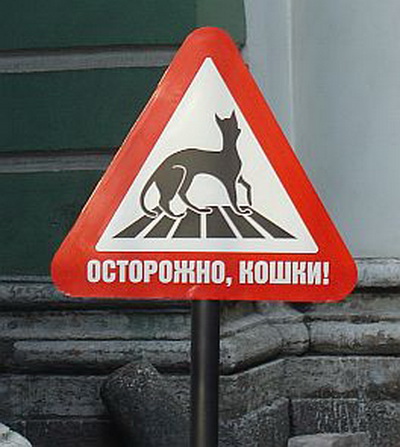 Вязанные сумки их пакетов Вязанные сумки их пакетов