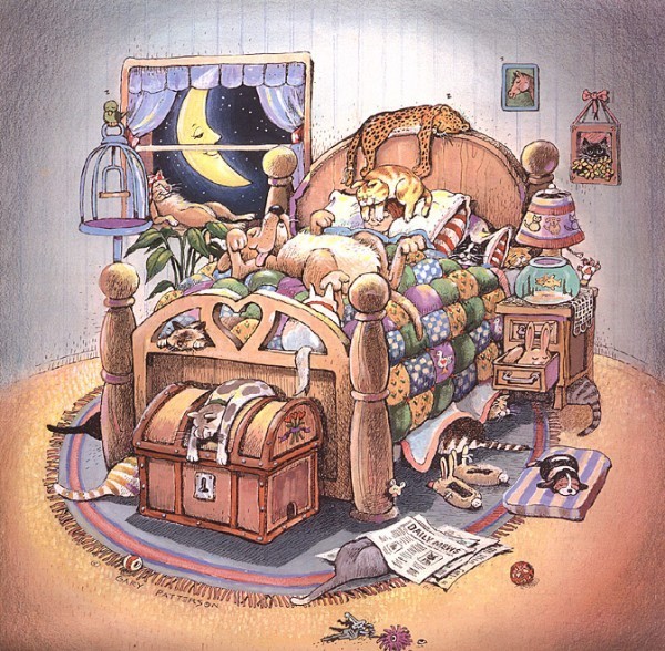 gary paterson 12 картинок